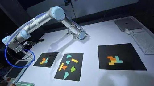 專家支招，黑科技亮相 這場展會連接武漢未來生活場景