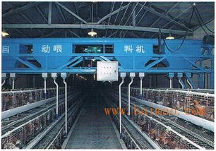 青州市宇偉機械加工廠批發(fā)供應(yīng)柴油叉車,內(nèi)燃式叉車,電動升高車,半自動升高車